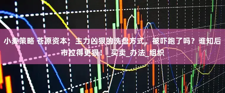 小麦策略 苍原资本：主力凶狠的洗盘方式，被吓跑了吗？谁知后市拉得更狠！_买卖_办法_组织