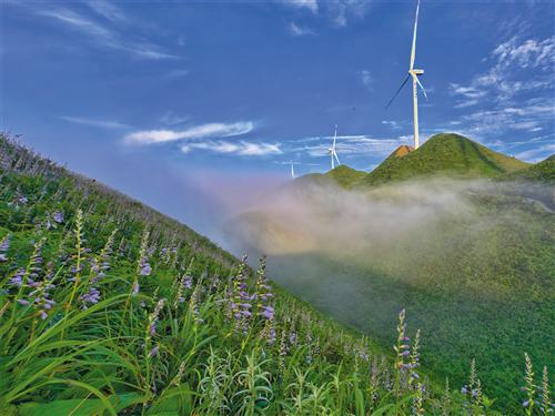 鼎冠策略 多样玩法激活全域旅游