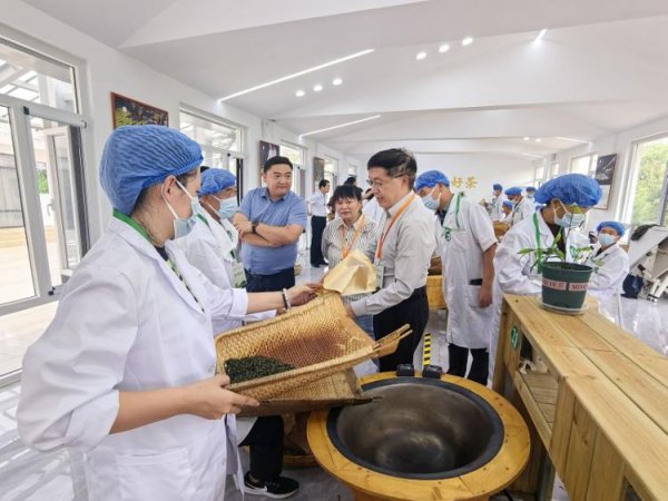 恒瑞易配 做好“三茶”融合大文章！青岛市绿茶炒制大赛在西海岸新区火热开赛