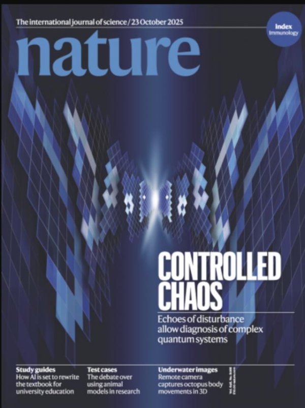 日赢配资 刚拿诺奖就登Nature封面！谷歌“量子回声”算法计算提速13000倍，可重复验证结果