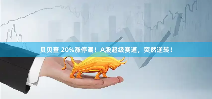 贝贝查 20%涨停潮！A股超级赛道，突然逆转！
