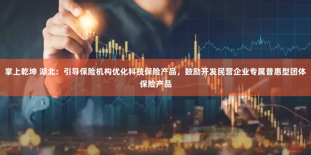 掌上乾坤 湖北：引导保险机构优化科技保险产品，鼓励开发民营企业专属普惠型团体保险产品